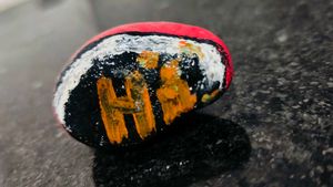 "Say Hi! Painted Pebble for Decor"