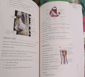 Marrow Edition 6 - 1st Year Notes