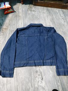 New stylish shorts Denim