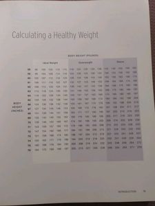 Healthiest Foods During Pregnancy