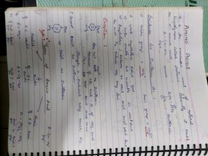 Kota Notes