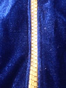 Velvet Blouse