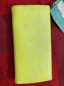 New Branded Stalatoes Handbag