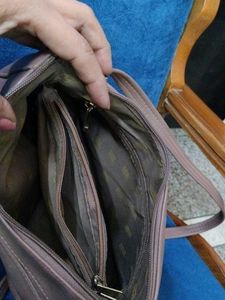 Baggit Bag
