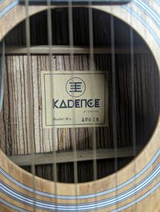 Acoustic Guitar
