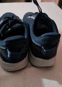 Campus Stylish Sneakers
