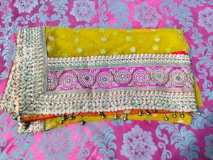 Beautiful Lehnga &amp; Dupatta