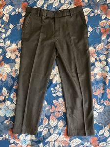 Brown Dress Pants