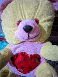 Teddy Bear 🧸