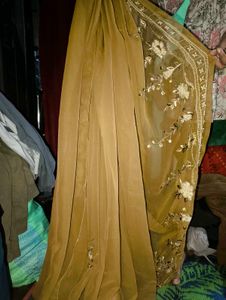 Elegant Embellished Saree