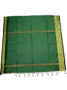 Elegant Green &amp; Gold Saree