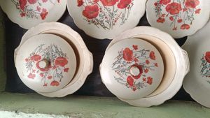 Dinner Set of 27 Pcs With 2 Serving Bowl Lid