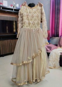 Elegant Ethnic Gown
