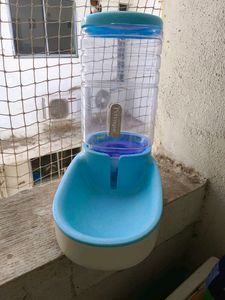 Petvoque Automatic Pet Water Dispenser 3.8L capacity