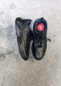 Campus Imported Sports Shoes 👟