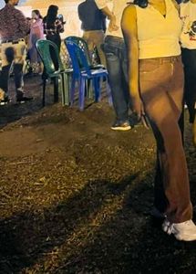 Brown High Waisted Pants