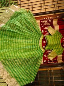 Green Lehenga Choli Set