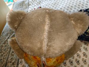 Cute Teddy Bear