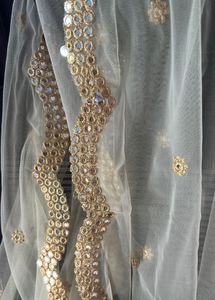 Elegant Net Duppatta