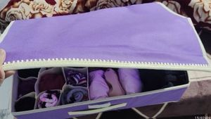 Divided Storage organizer Box