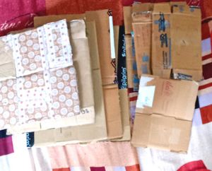 10Shipping Labels & Ten Cardboard Box