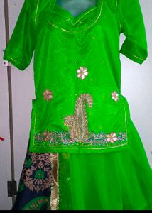 Rajputi poshak..Green Embroidered