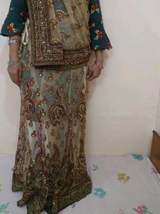 Elegant Embroidered Saree