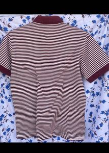 2 Striped Polo Shirt