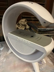 Wireless Charging Bluetooth Speaker
