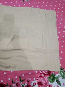 Elegant Beige Kurta For Women