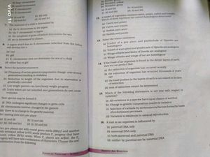 English Grammar Book