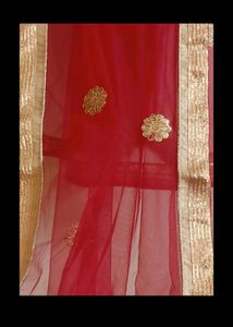 Gold & Beige Lehenga Choli