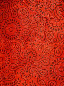 Red Brocade Blouse
