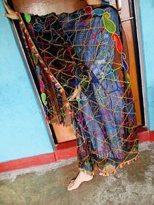 Embroidered Net Dupatta