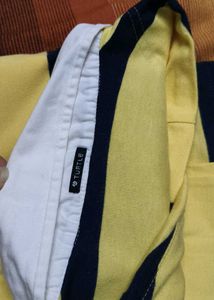 Turtle Brand Men Yellow Striped Casual Polo Tshirt
