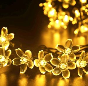 Pick Any Flower Blosson Light New