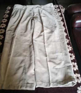 Beige Dress Pants