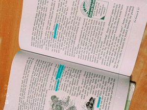 Class XII English Textbooks