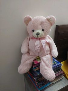 Teddy Bear Pink