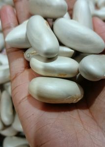 Good Quality Jackfruit Seeds