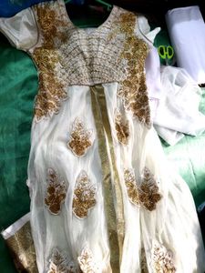 Elegant Ethnic Dress