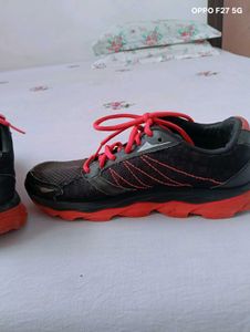 Sketchers Shoes