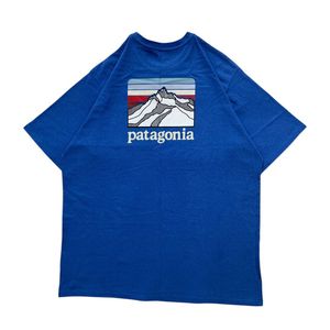 Patagonia Graphic Tee