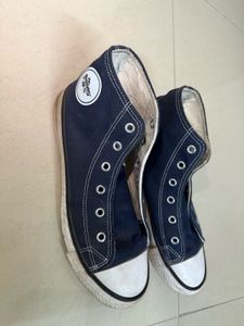 Roadster Canvas Sneakers