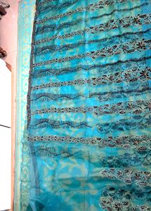 Organza  Saree. With Velevet Work.