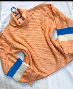 Stylish Turtleneck Sweater