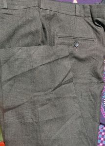Velveta Brand Pant For Men (42 Inch)