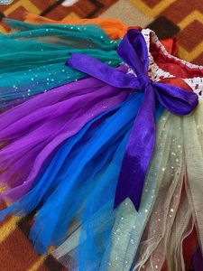 Rainbow Tutu Skirt