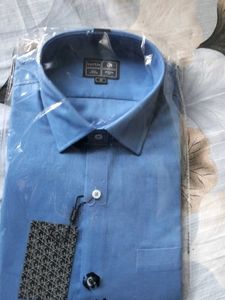 Turtle Blue Shirt