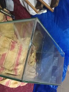 Used Glass Fish Tank